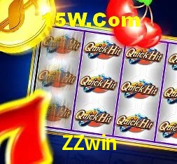 Security Systems ZZwin